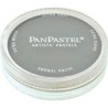 PANPASTEL DE 9 ML