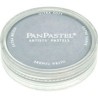 PANPASTEL DE 9 ML