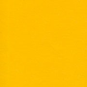 PAPEL AMÉRICA