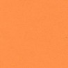 CARTONCILLO