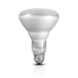 REFLECTOR 75W