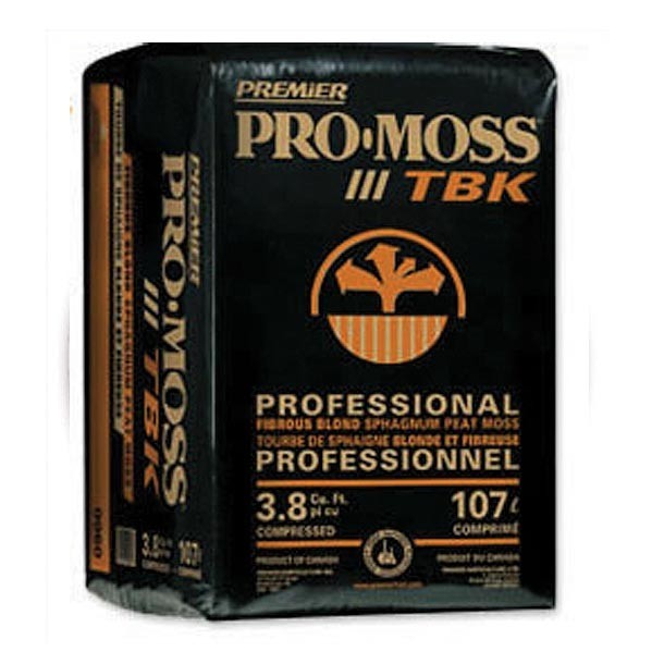 PRO MOSS TBK 3.8 CC