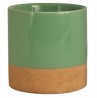 MACETA 4" MENTA PRIDE GARDEN