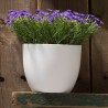 PLANTA DEC FLOR MORADA B