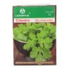 SEMILLA CILANTRO DE MACOLLO 201
