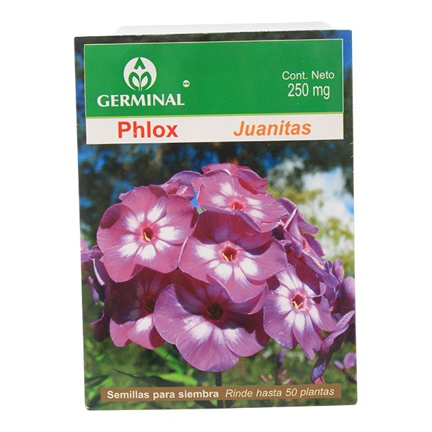 SEMILLA PHLOX
