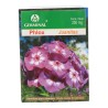 SEMILLA PHLOX