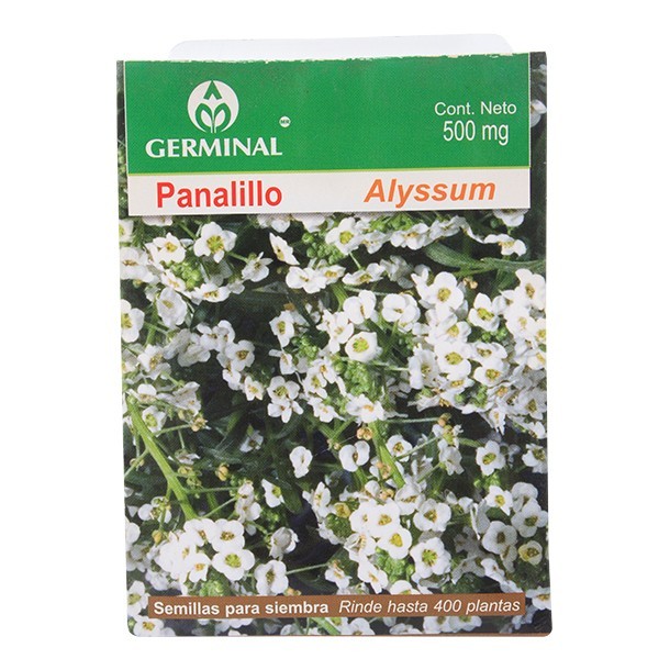 SEMILLA PANALILLO 110