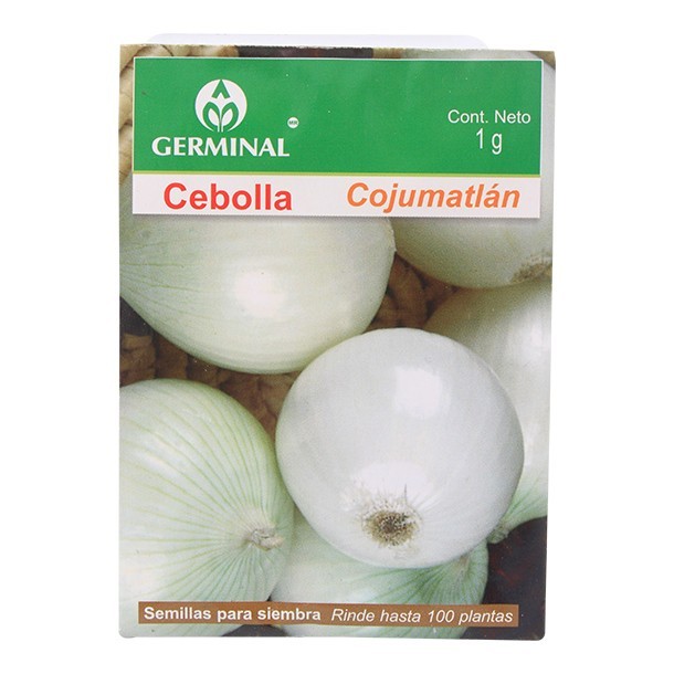 SEMILLA CEBOLLA COJUMATLAN 202