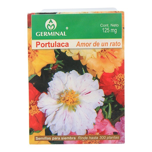 SEMILLA PORTULACA 124