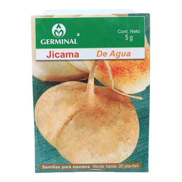 SEMILLA JICAMA 222