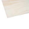 TRIPLAY BC 12 MM 0.61X1.22M