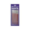 Painta Flat Brush Set